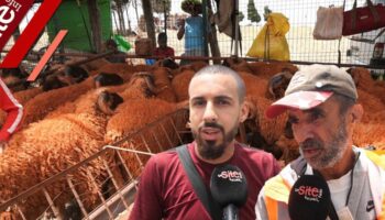 Jeux video Aïd Al Adha: la cherté des moutons indigne les Tangérois (VIDEO)