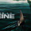 Bebe Le pire film de l’année ? Bébés requins mutants et casting douteux : ‘Sous la Seine’ nage en eaux troubles – RTBF Actus